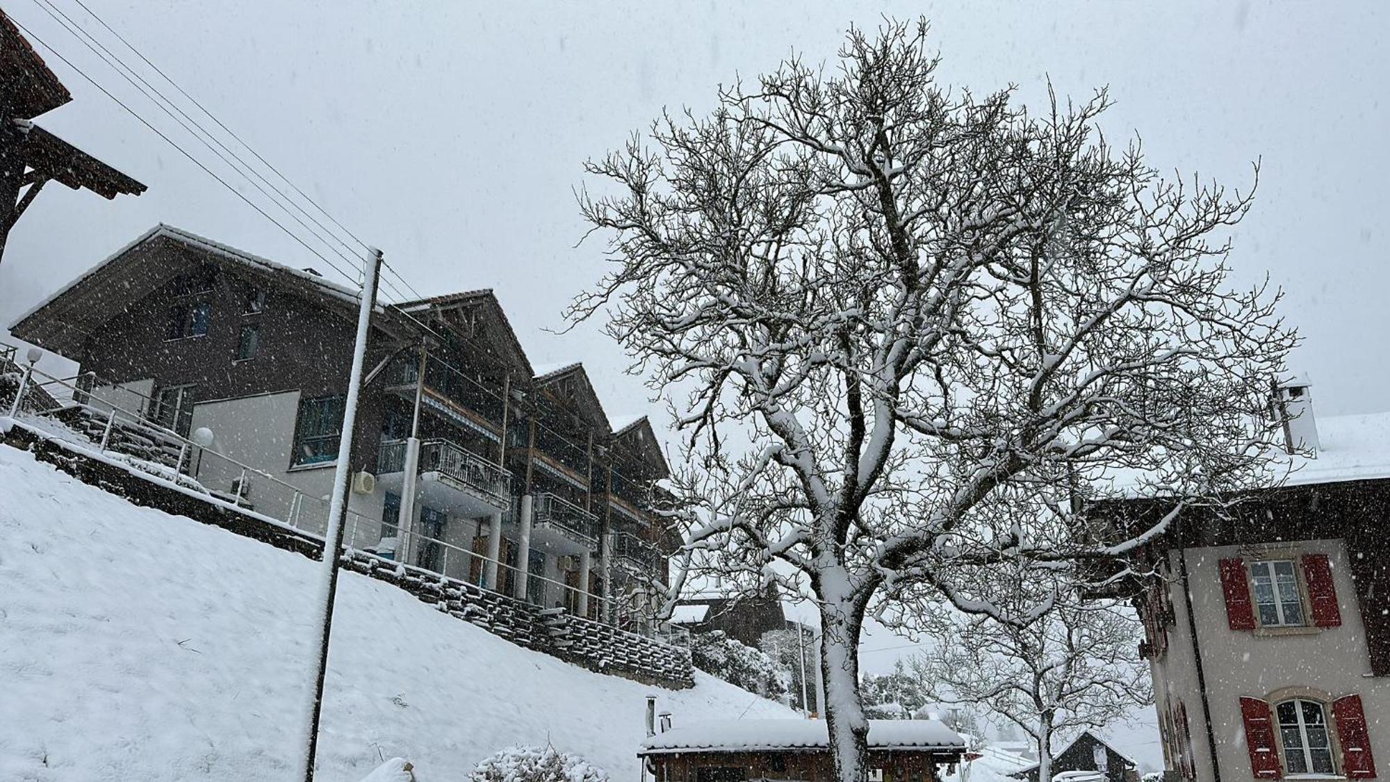 Niederried bei Interlaken Lake View Residence מראה חיצוני תמונה