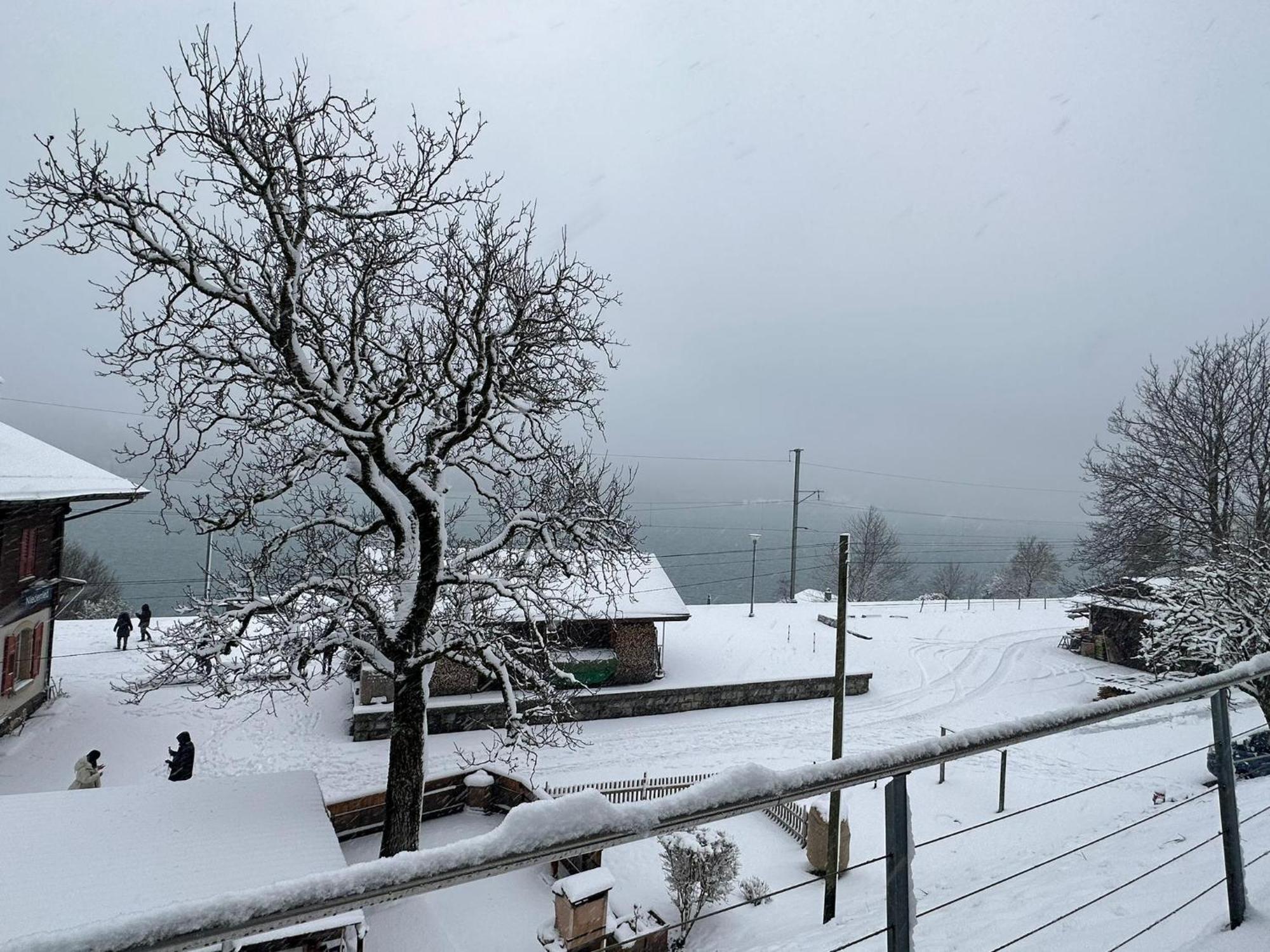 Niederried bei Interlaken Lake View Residence מראה חיצוני תמונה