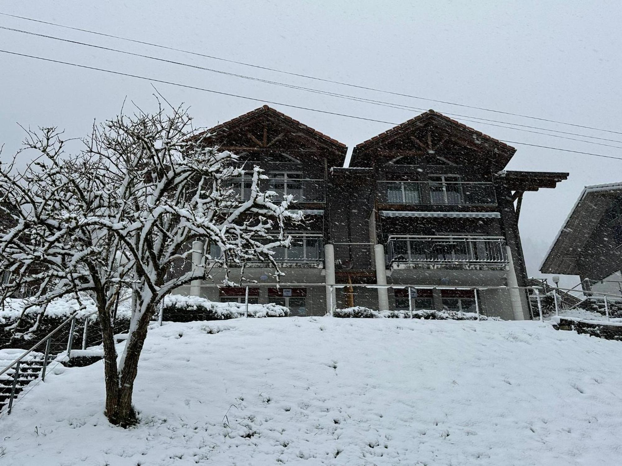 Niederried bei Interlaken Lake View Residence מראה חיצוני תמונה