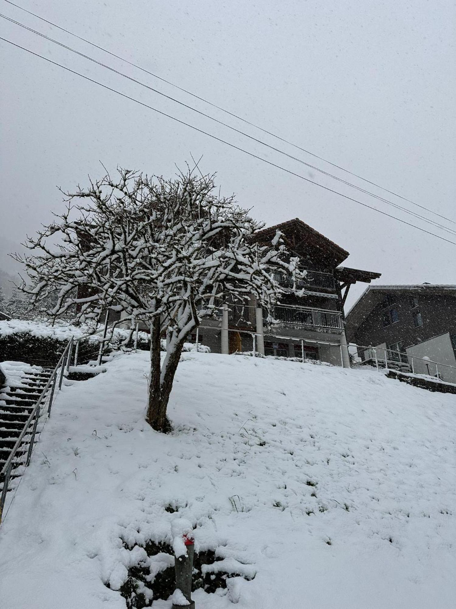Niederried bei Interlaken Lake View Residence מראה חיצוני תמונה